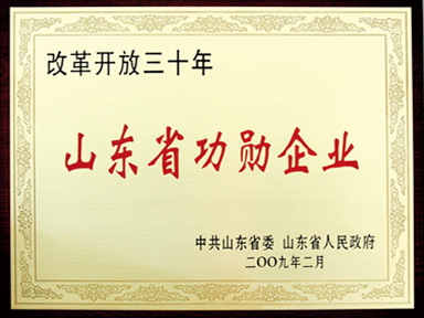 山東省功勛企業